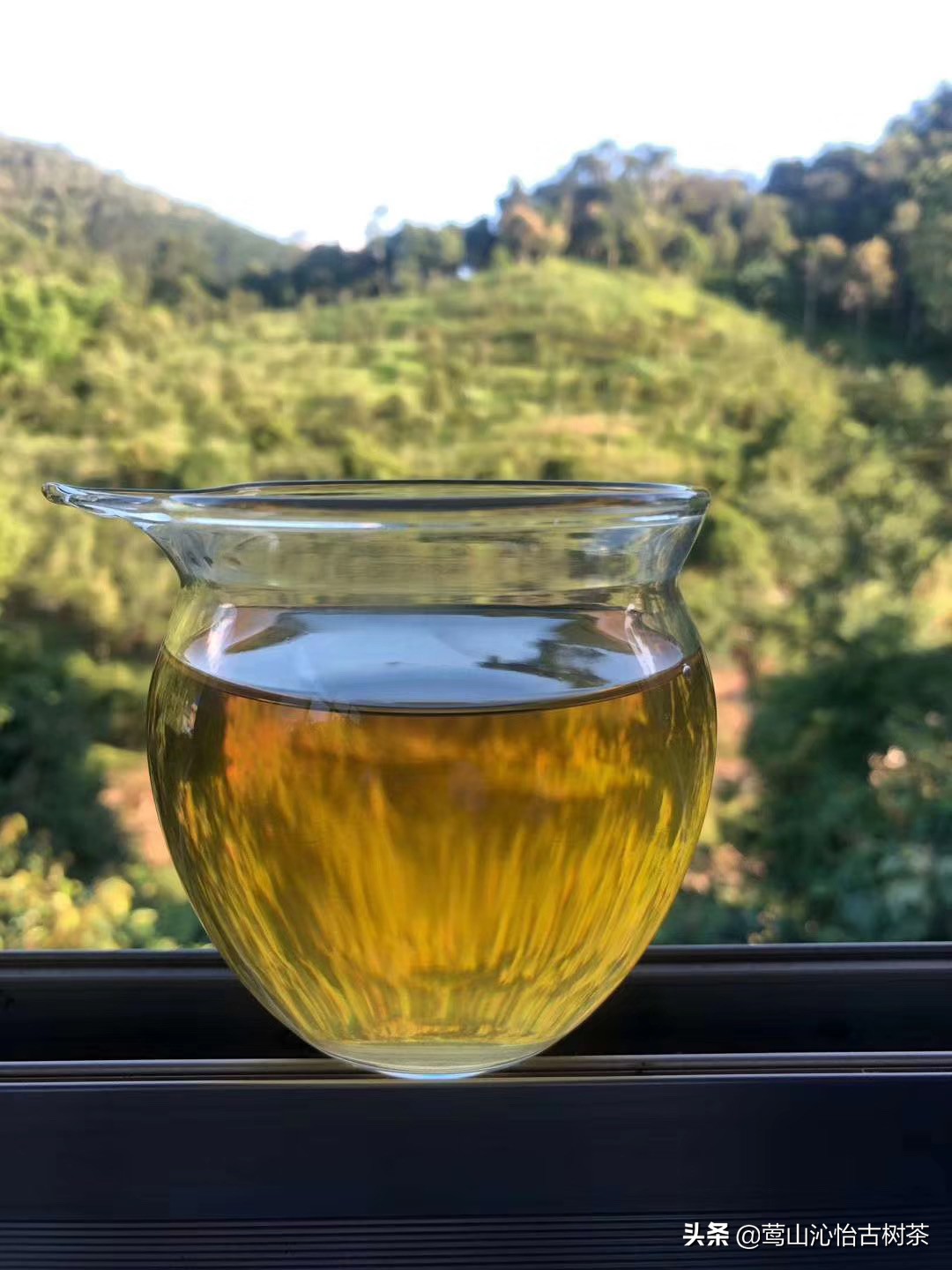 普洱茶生津多久才是好茶,普洱生茶值得细品么