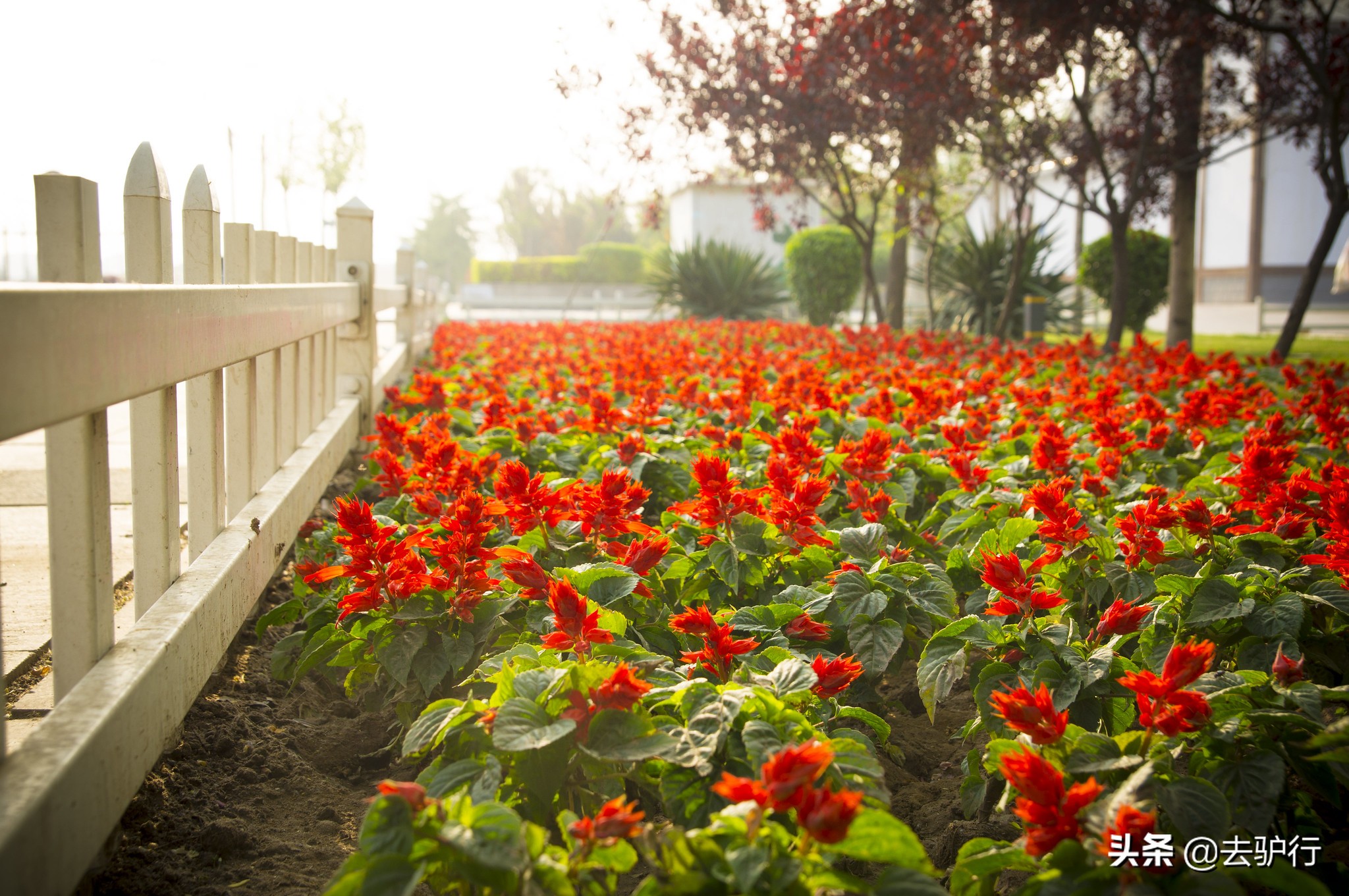 河北有个美丽的城市,河北三大旅游城市