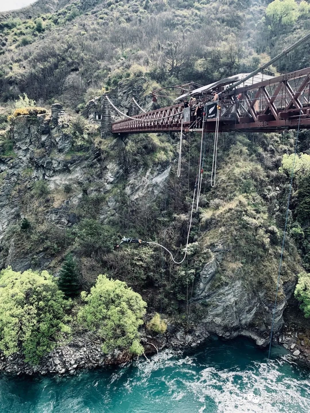 旅行7天,新西兰霍比特人村游记