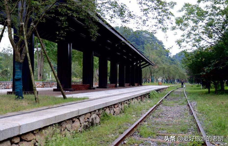 长沙拍照圣地森林公园,长沙一座很奇怪的城市