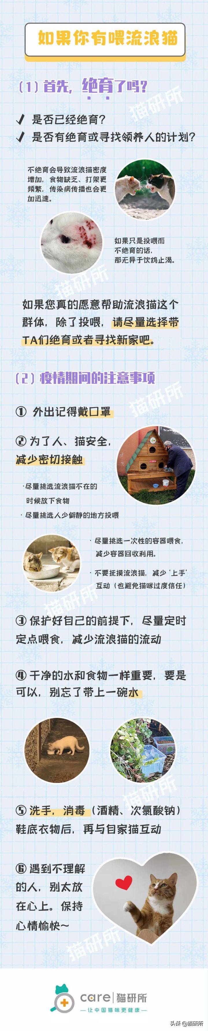 如何帮流浪猫度过冬天,怎么帮流浪猫过冬