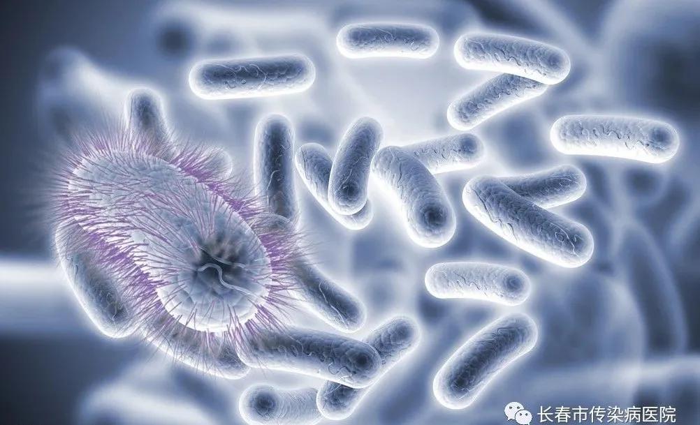 微生物手工报告单怎么看,微生物化验单怎么看