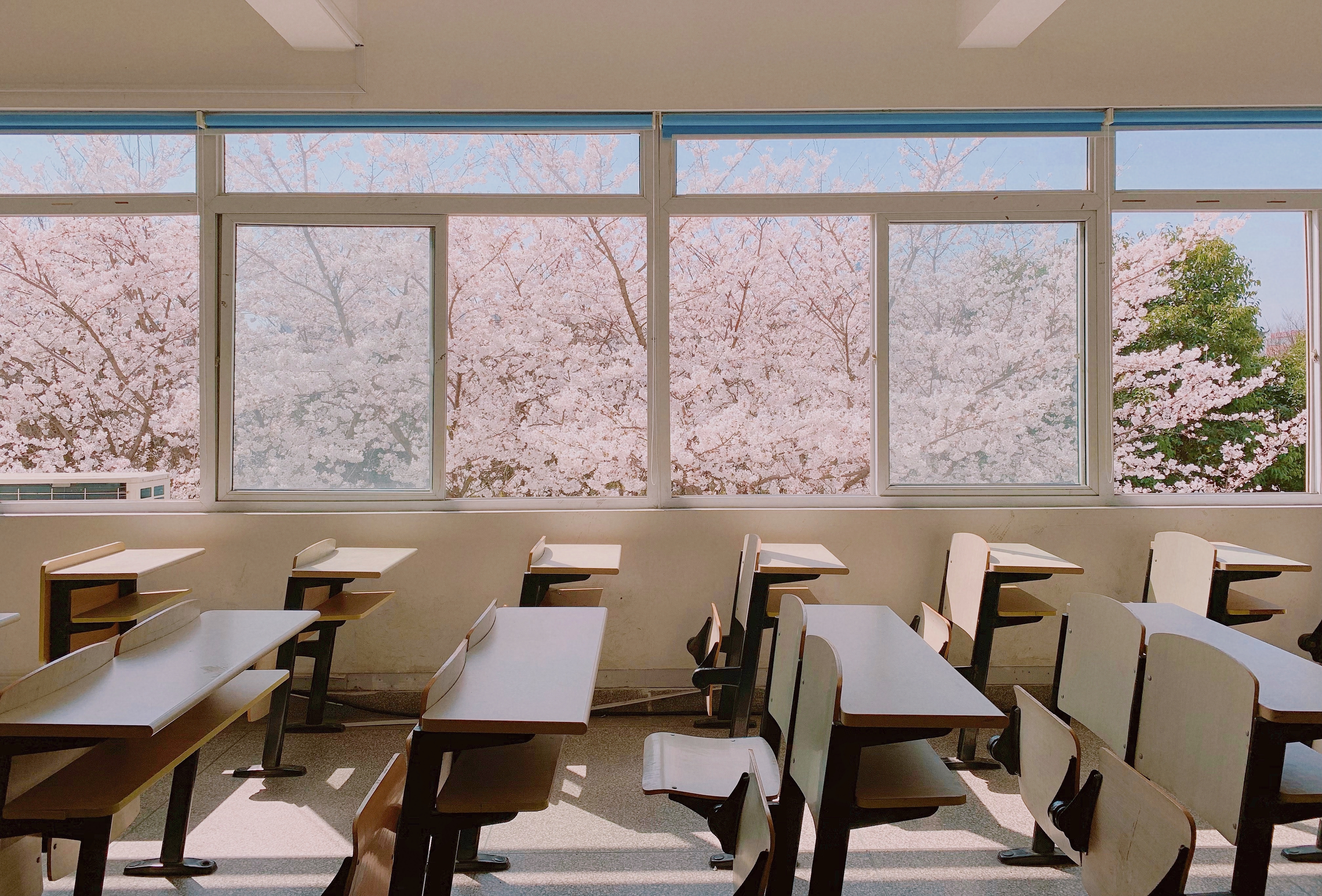 讲真的！苏州这所学院，为什么就成了网红