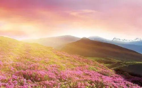 最全成语分类汇总,最全最实用的成语总结