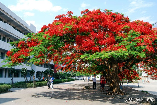 广东潮州历史文化,潮州历史文化名城研究