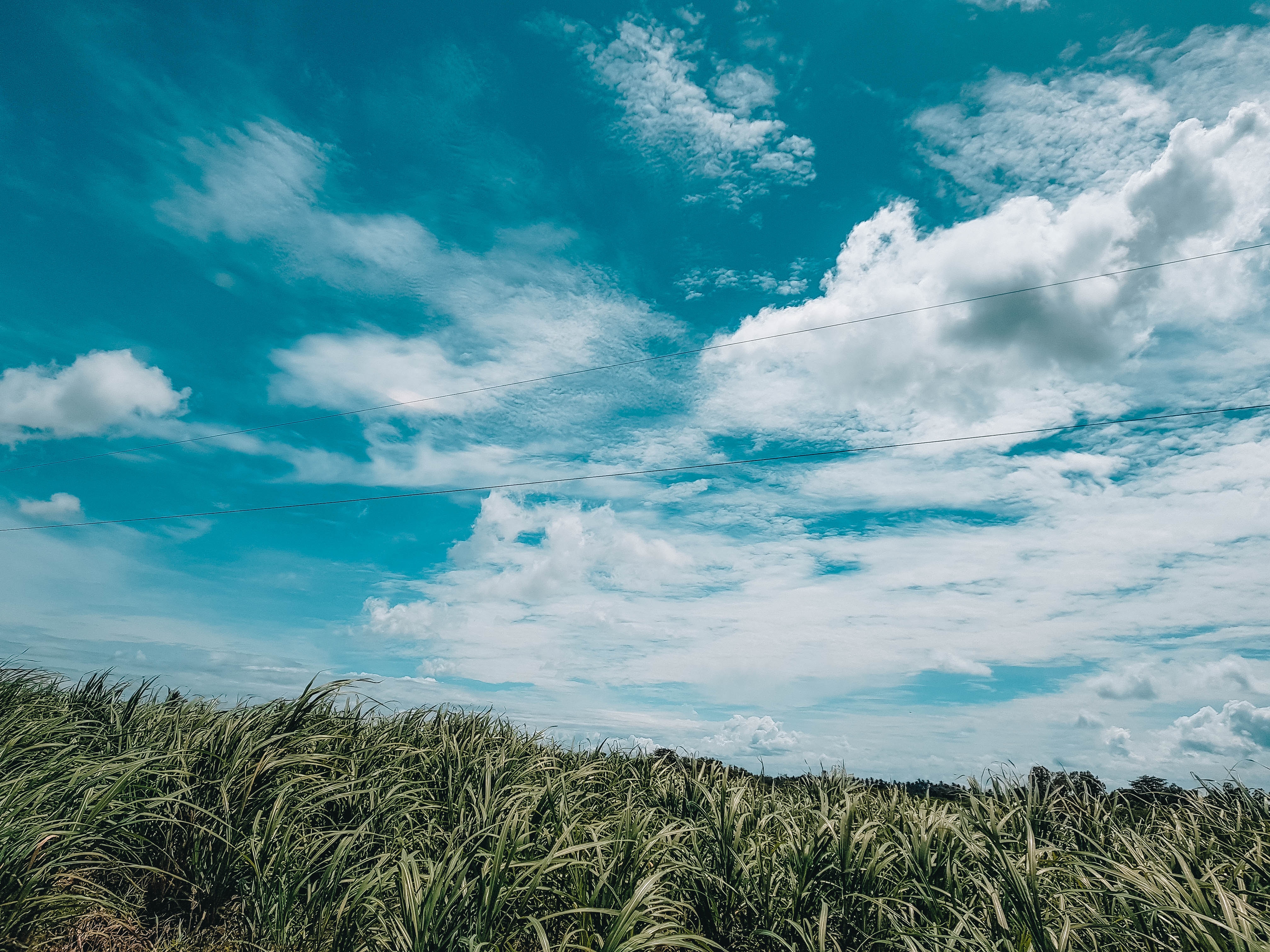 中材科技的主要业务是什么,中材科技前景怎么样