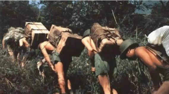 老山黑豹行动幸存英雄,老山前线侦察作战