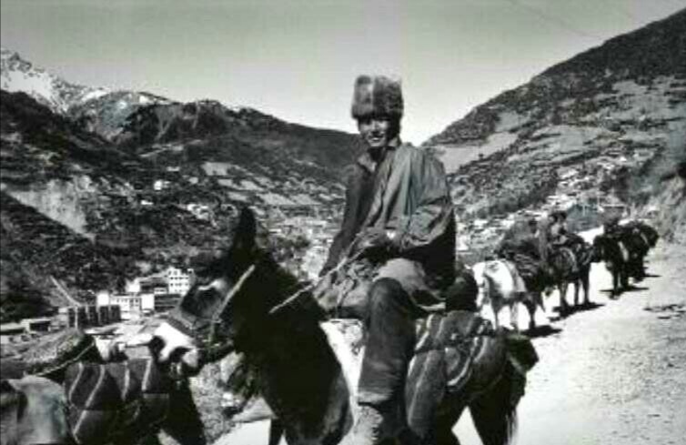 草台帮登上茶商马帮研究的学术殿堂