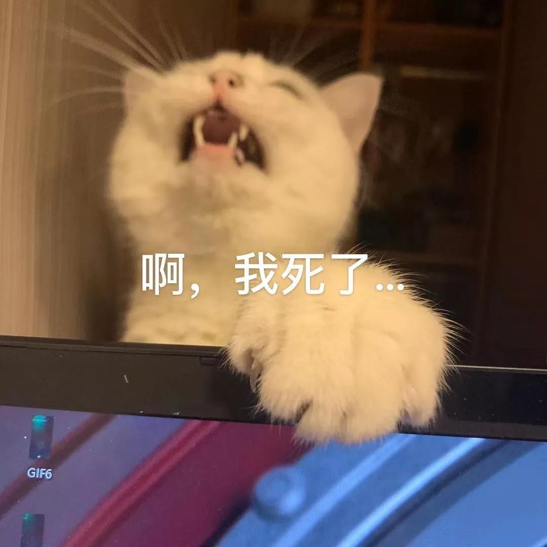 微信什么时候开始可以改微信号,微信改微信号对方会知道吗