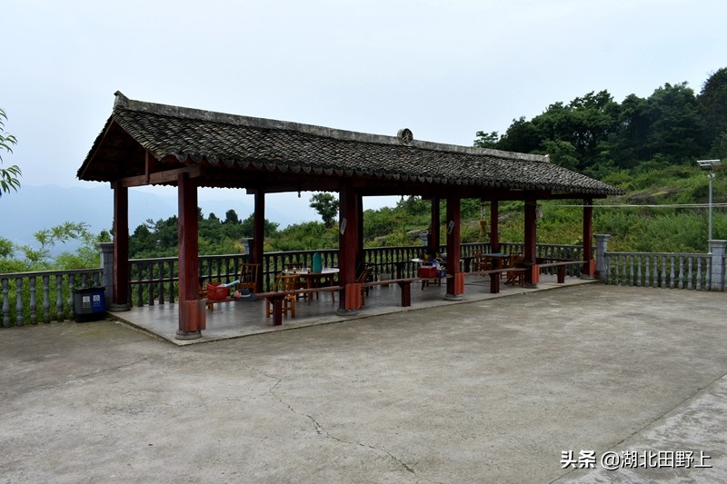 推荐的民宿采摘,浙江隐匿山野的民宿桃源仙境