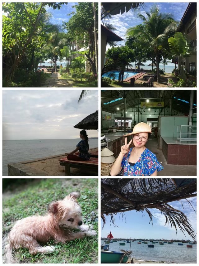 漫游记越南,越南十五天之旅