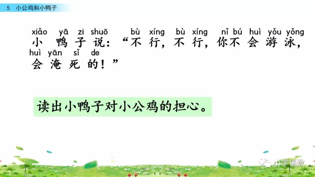 小公鸡和小鸭子一年级下册视频,一年级下语文小公鸡和小鸭子讲解