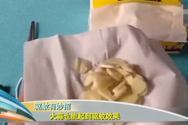 又到了蚊子满天飞的季节,又到了蚊子飞舞的季节