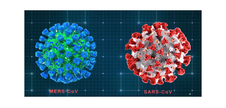 如果基因被破解会有什么后果,人类基因被破解的危害