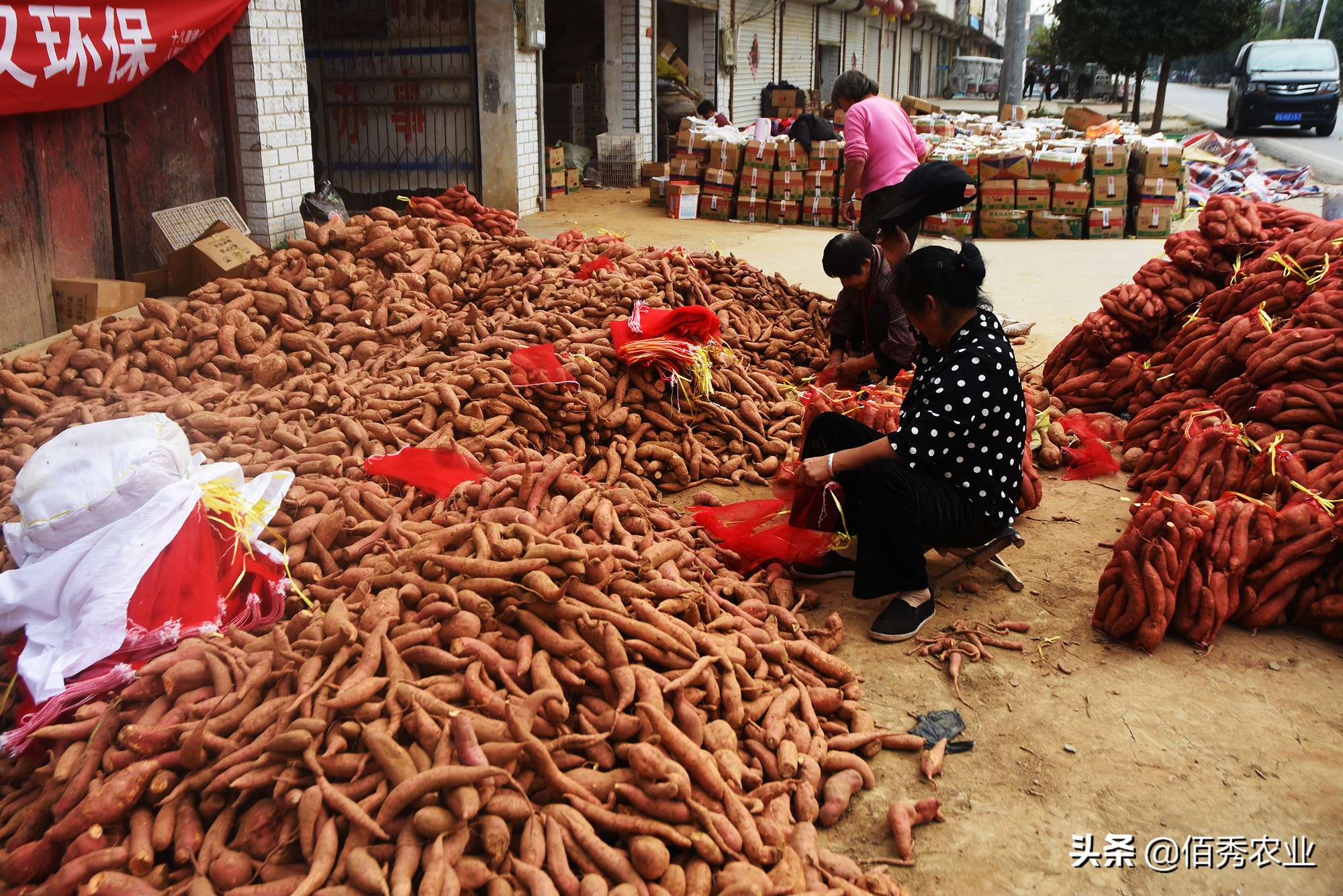 女记者辞职卖地瓜年售过亿,女记者辞职卖烤地瓜