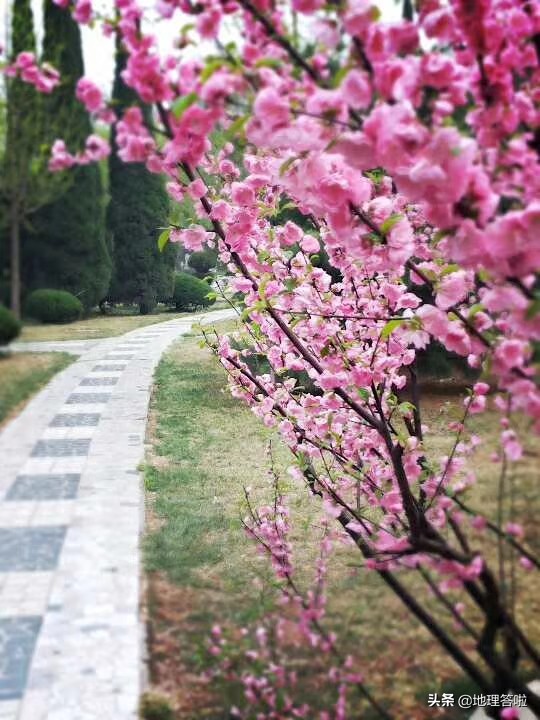 钓鱼台饭店济南,钓鱼台宾馆的北国风光