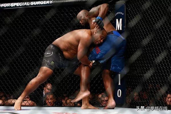 怎么让笼子成为猫家,mma比赛必杀技