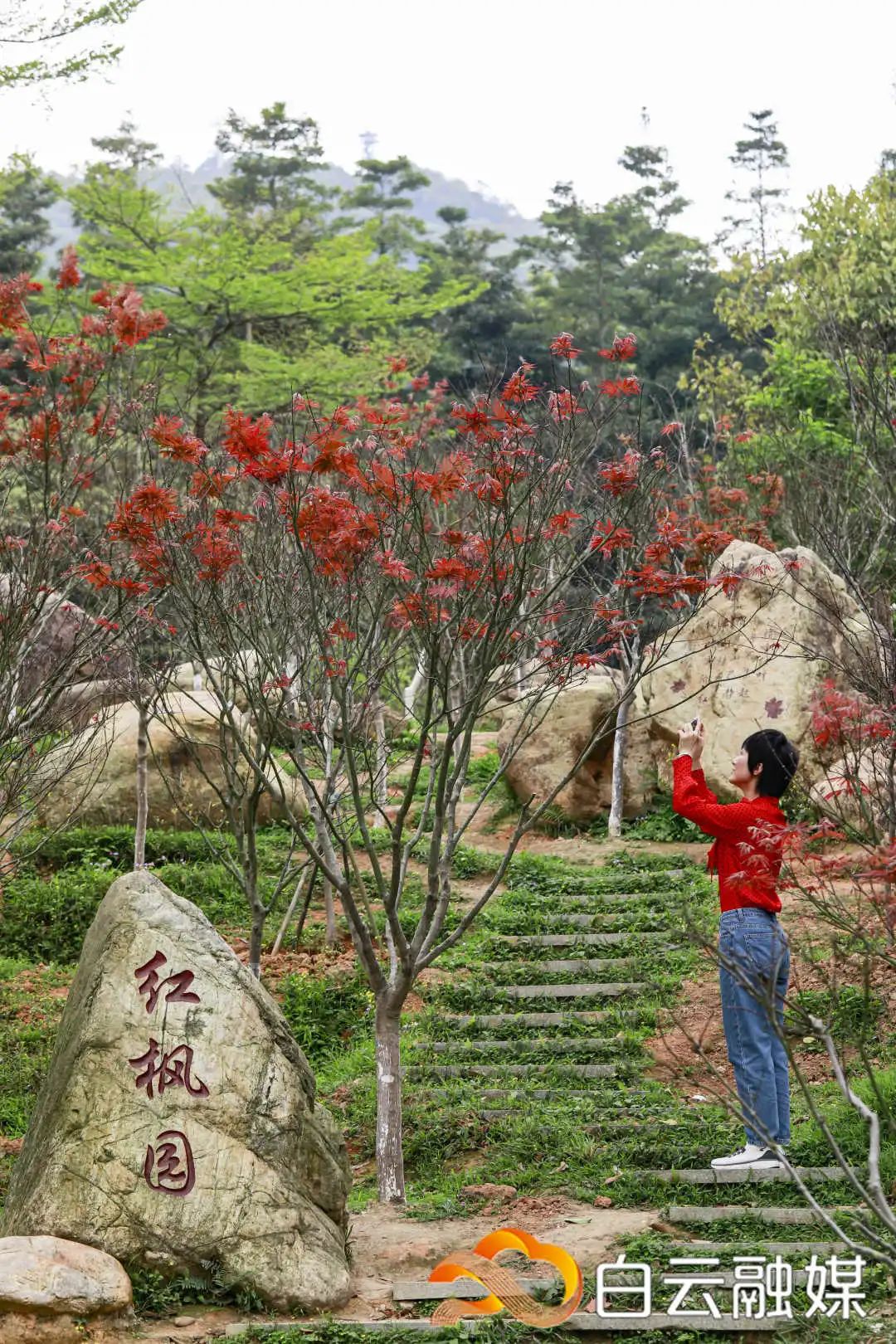走一起去看美丽的风景,走一起去看美好的风景