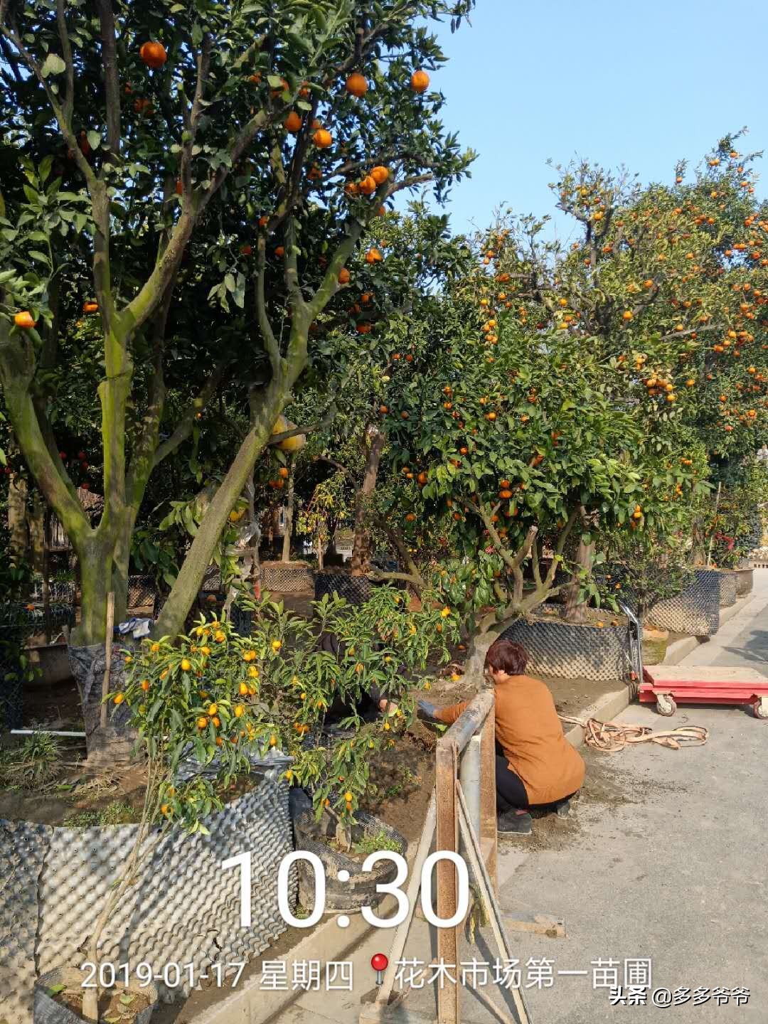 常州武进区夏溪小学,江苏省常州市武进区夏溪小学