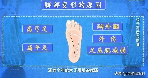 cctv2019年3月25日健康之路节目,cctv10健康之路4月1日回放