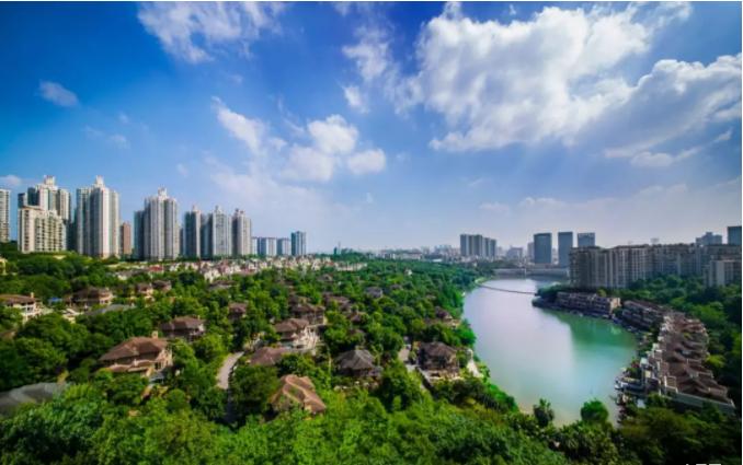 棕榈泉壹号楼,棕榈泉壹号会客厅实景图