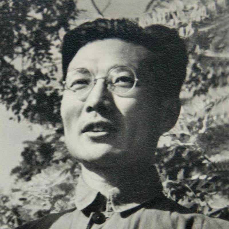 从村到镇广东乡村振兴开启新篇章,从暴风骤雨到山乡巨变