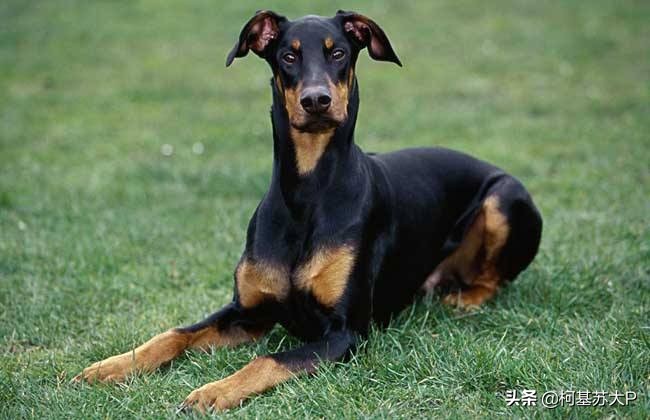 破冰行动赵嘉良是好人嘛,破冰行动赵嘉良身份