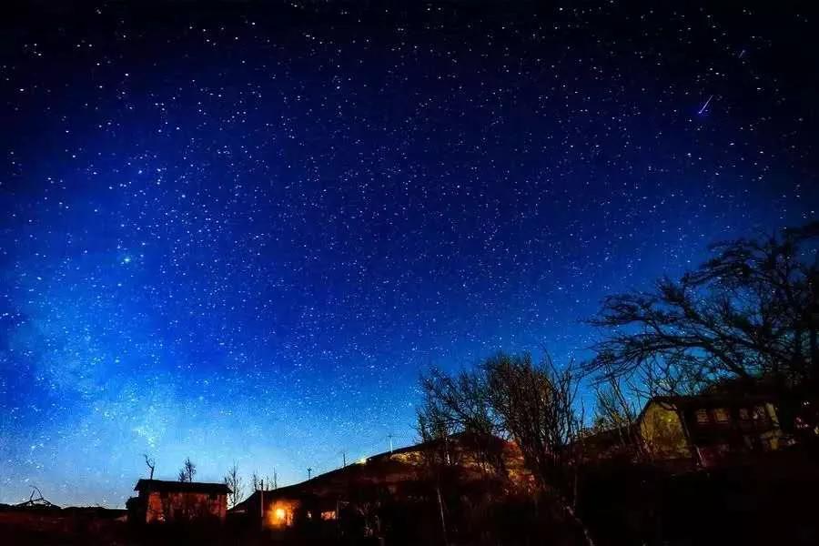 草树青翠虫鸣起，一枕清凉入梦来