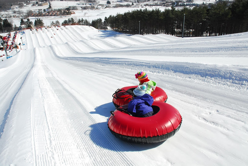 凛冬冰雪季 看美国首都地区的大人小孩玩什么
