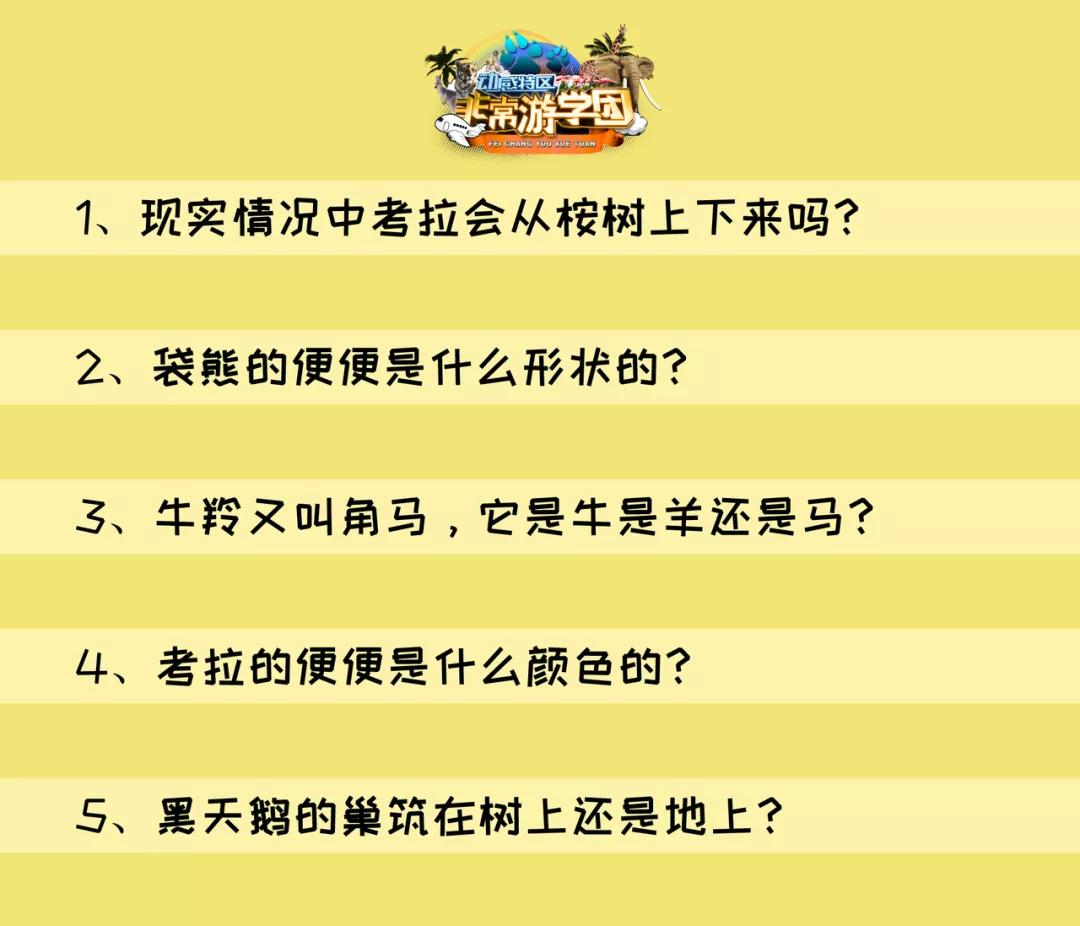 大熊猫百科知识详细介绍,大熊猫前脚有几只手指