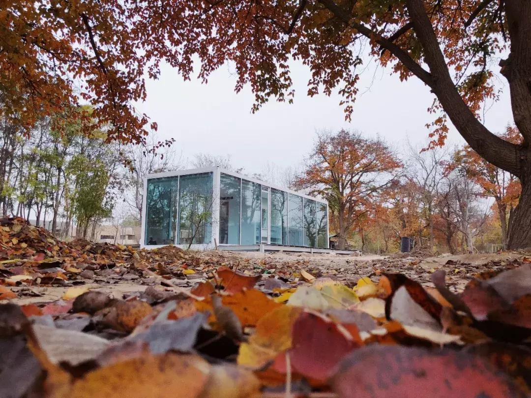 机票490飞往黄河过大年，主人请吃年夜饭，9项新年活动免费送