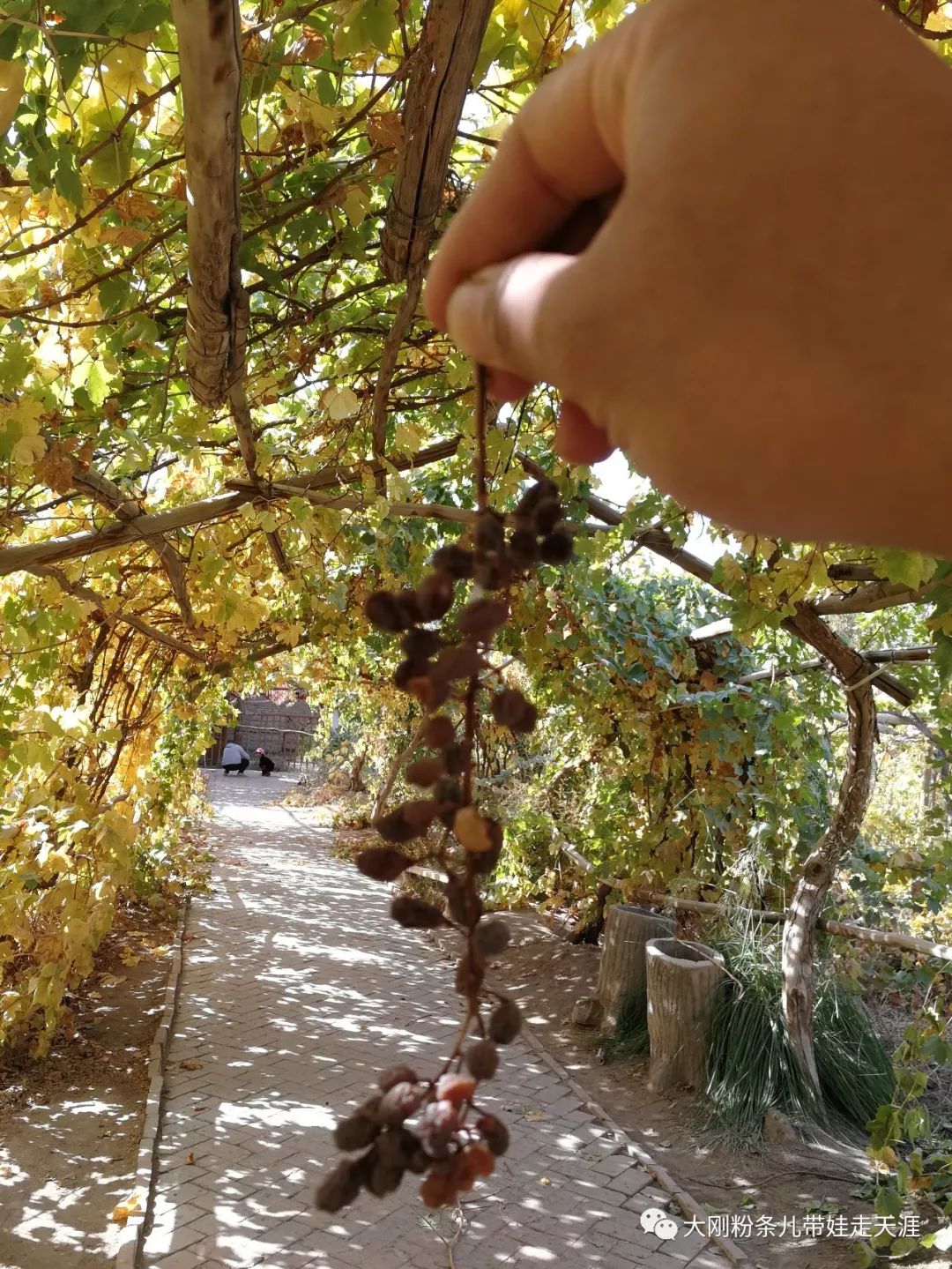 舌尖上的中国旅行,跟着舌尖上的中国去旅游