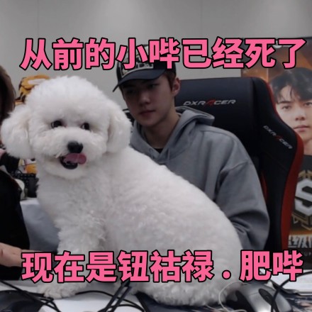 韩国exo吴世勋和朴灿烈,exo吴世勋鹿晗是亲兄弟吗