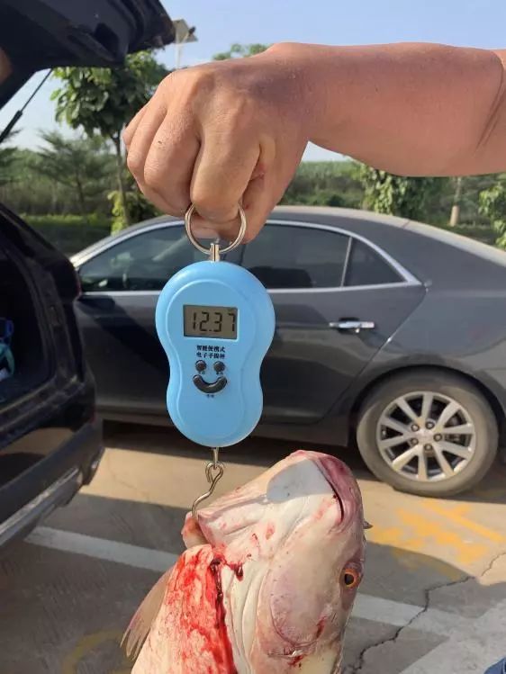 神鹤轻强硬评测,本汀神鹤轻强硬6.3米