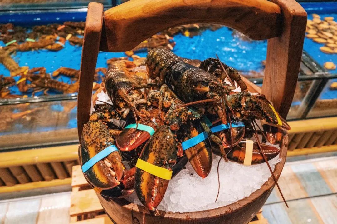 200块钱住北京,200块住酒店吃大餐