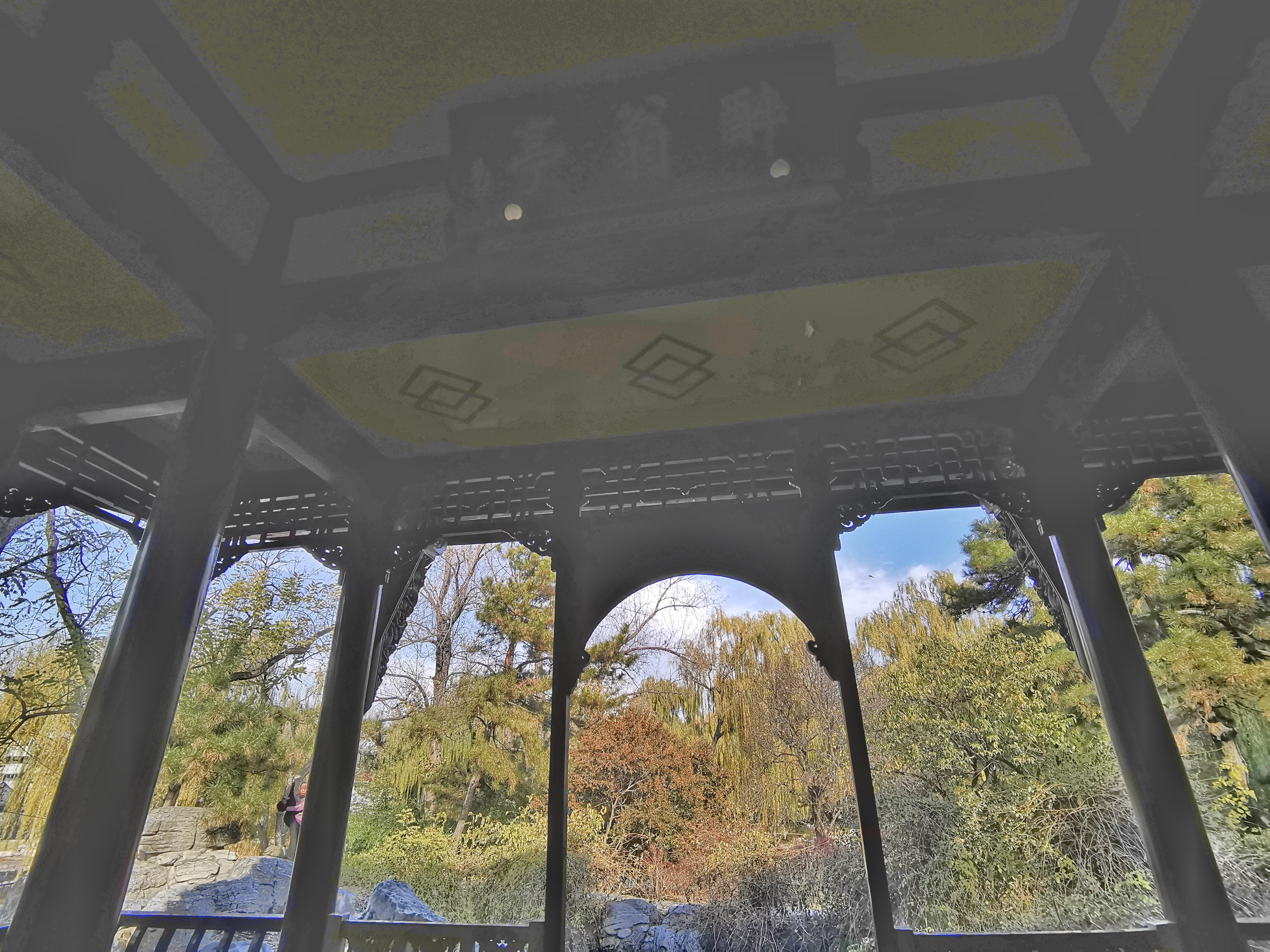 为什么很多摄影师爱用苹果,为什么都在用苹果手机摄影