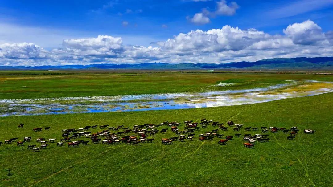 杭州九寨沟门票价格表,九寨沟景区浙江人免门票吗多少钱