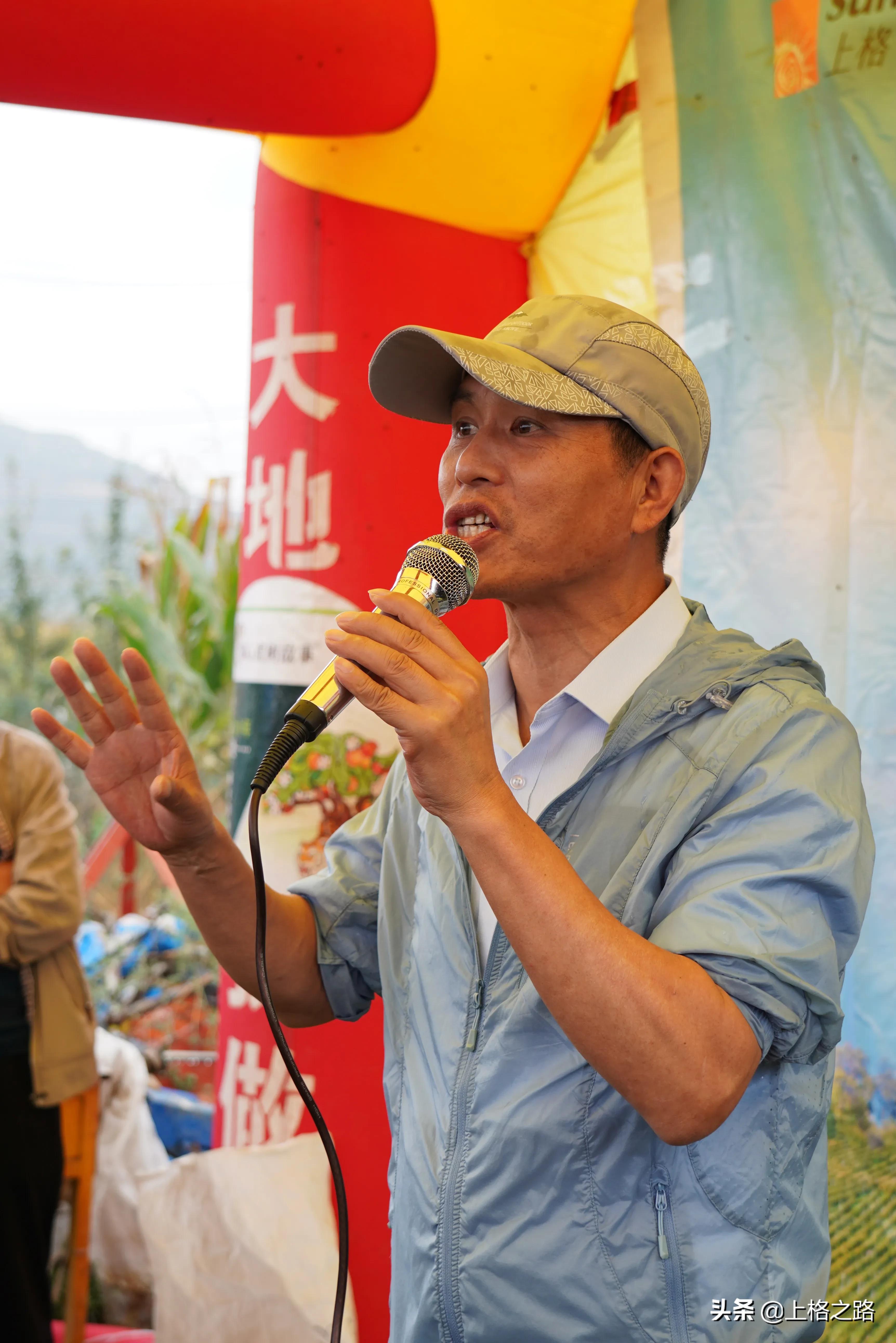 苹果产业的提质增效,平凉市苹果产业发展