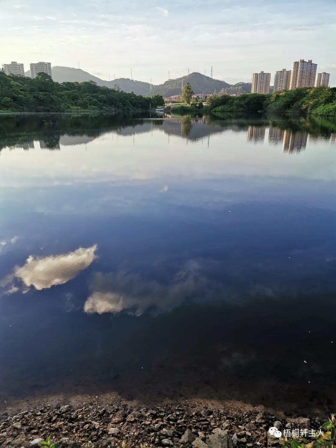 五彩斑斓秋之美,最美广州秋