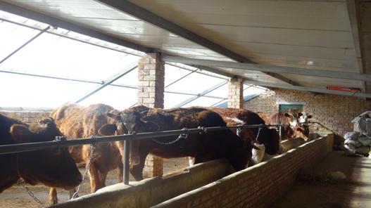 邮储银行海正药业抗疫贷款,邮储银行助力抗疫跑出新速度