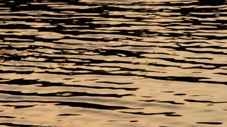 深圳好玩景点地铁路线,深圳好玩免费景点地铁直达的