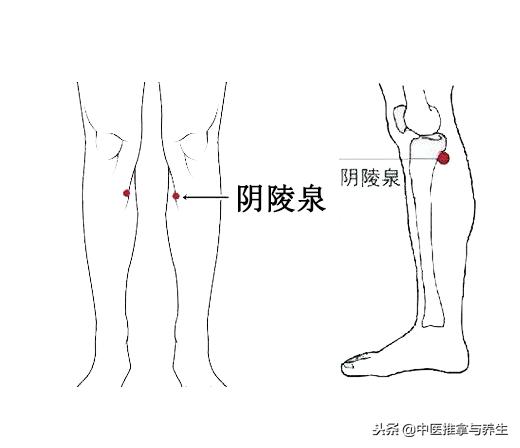 比较有效的消肿的穴位,小腿浮肿按哪个穴位消肿