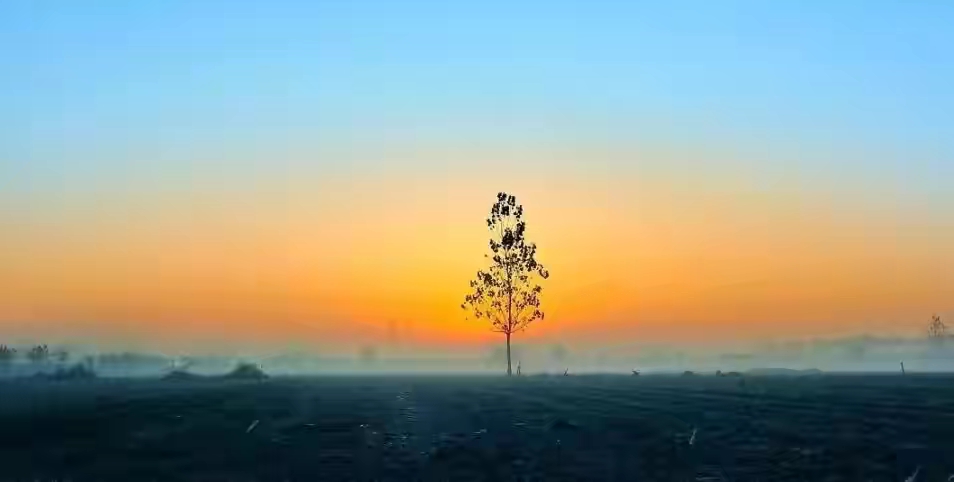 ＂克制不住爱对弟弟发火＂，爸爸来告诉你怎么办