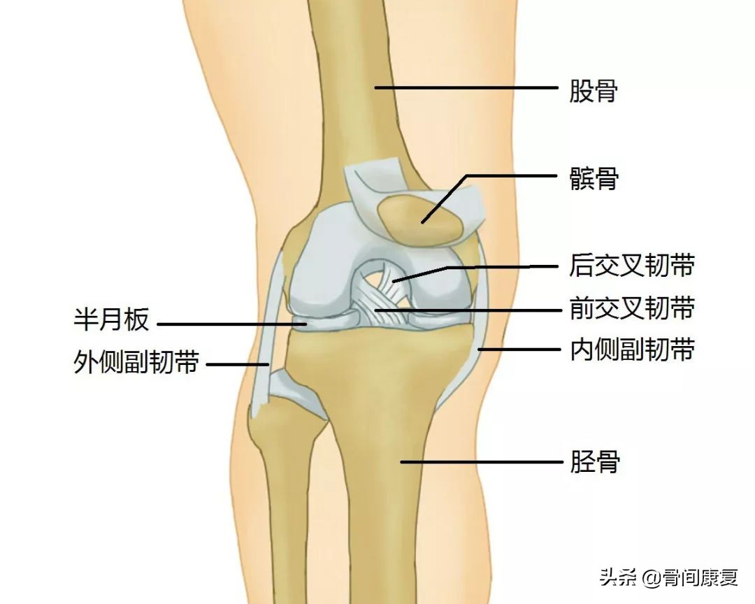 重建的交叉韧带一度松弛,韧带松弛重建后还会松弛吗