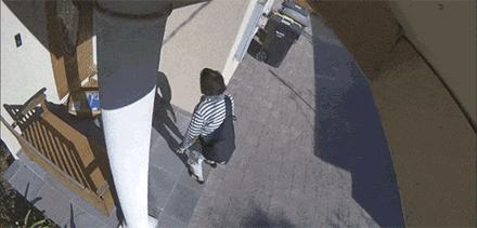 来美国五个月丢了10件快递,美国网购每天运送150万个包裹