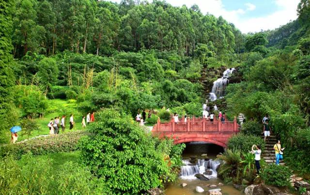 东莞最新交通规划2035,东莞交通规划2035图