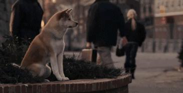 复仇方式电影,最狠的复仇方式电影