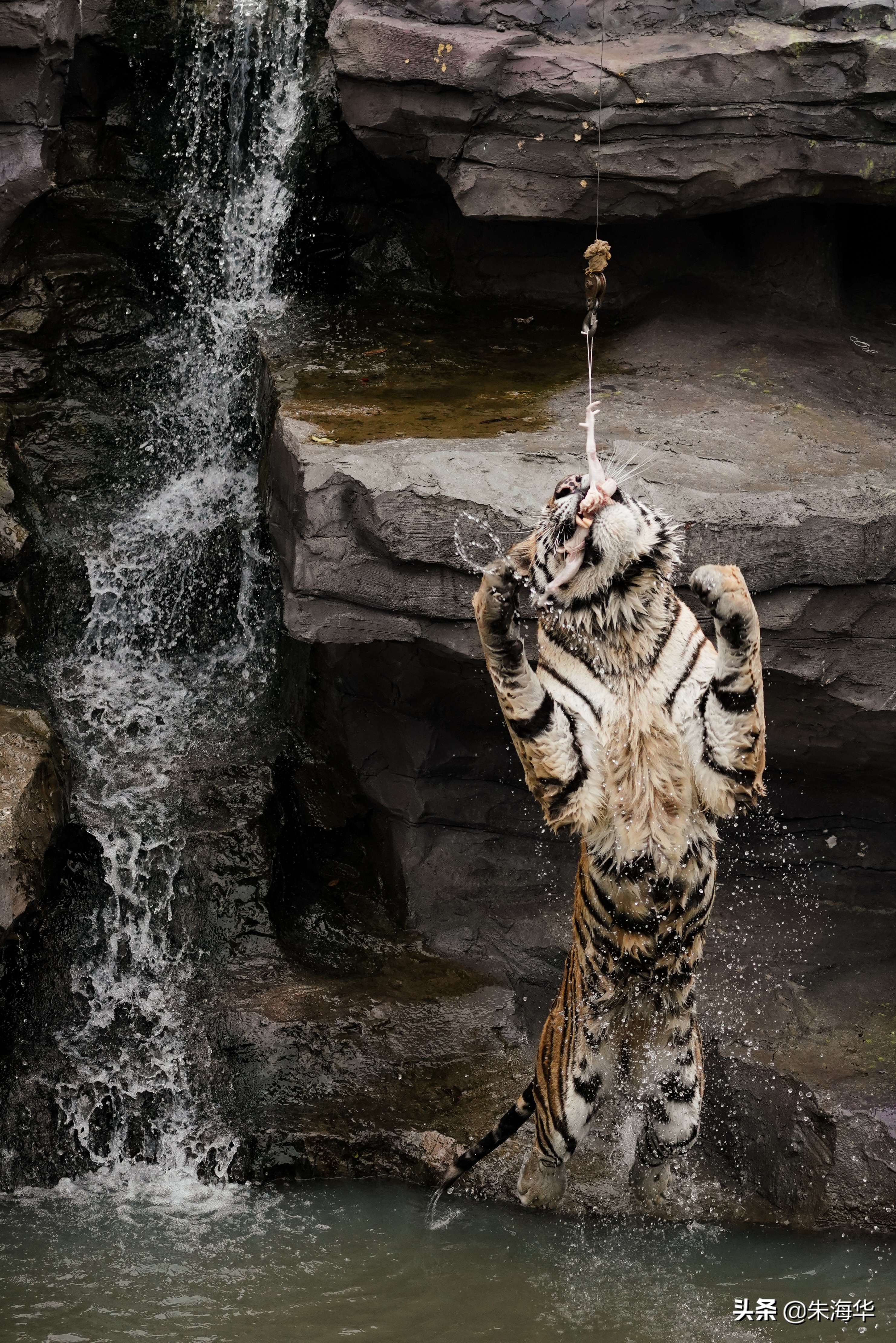 镜头记录：“它们”和我们