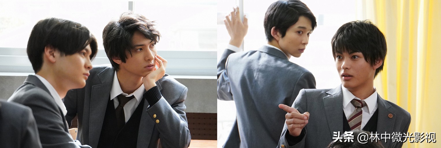 菅田将晖超长电影解说,菅田将晖遇上了三观一致的女孩子