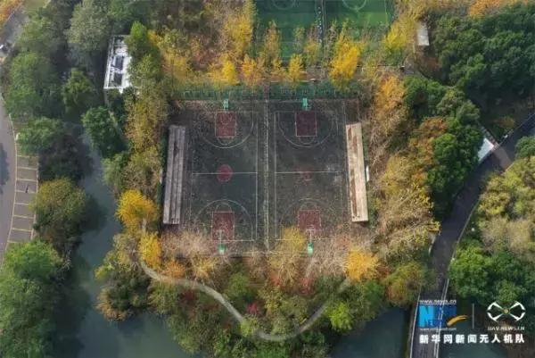 常州有没有免费的健身房,常州健身房推荐钟楼区